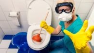 Como Desentupir o Vaso Sanitário com Arame