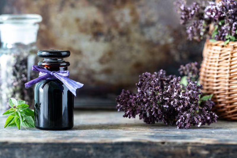 O que é Óleo Essencial de Lavanda e como Ajuda a Espantar Pragas