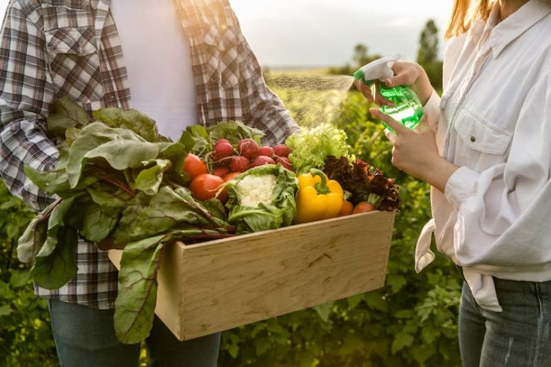 Os Benefícios da Alimentação Orgânica para a Saúde